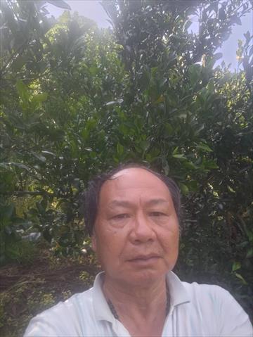 生產者圖片