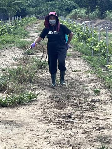 生產者圖片