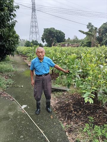 生產者圖片