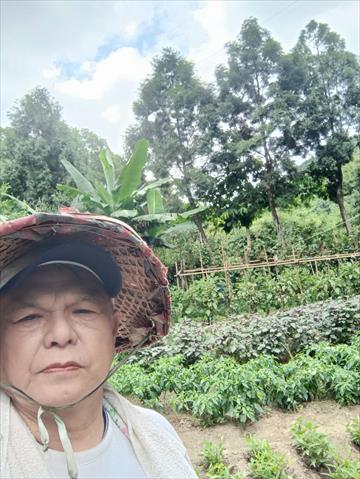 生產者圖片