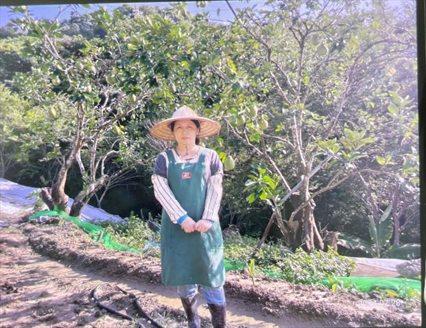 生產者圖片