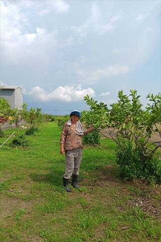 生產者圖片