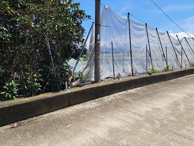 生產者圖片