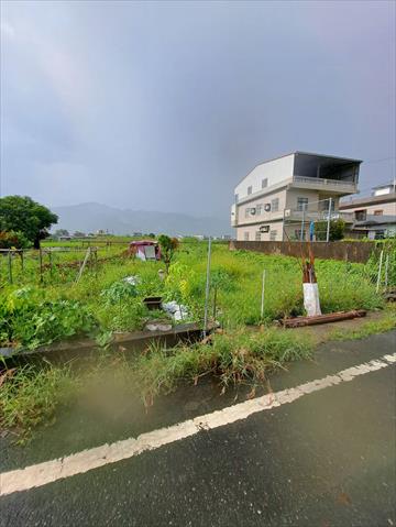 生產者圖片
