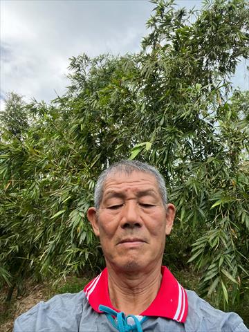 生產者圖片