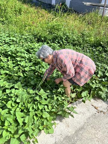 生產者圖片
