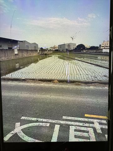 生產者圖片