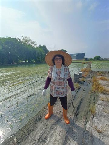 生產者圖片