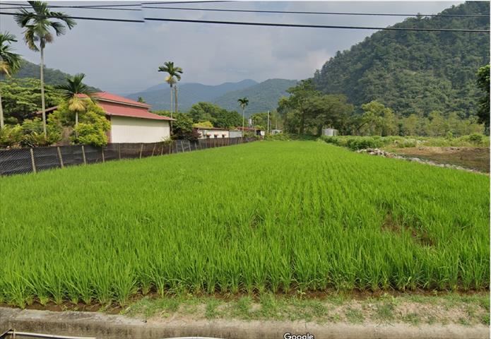 生產者圖片
