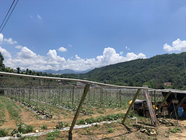 生產者圖片