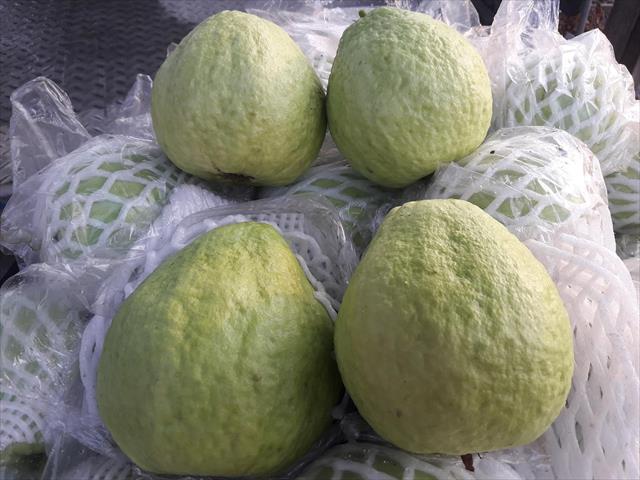 生產者圖片