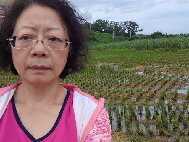 生產者圖片