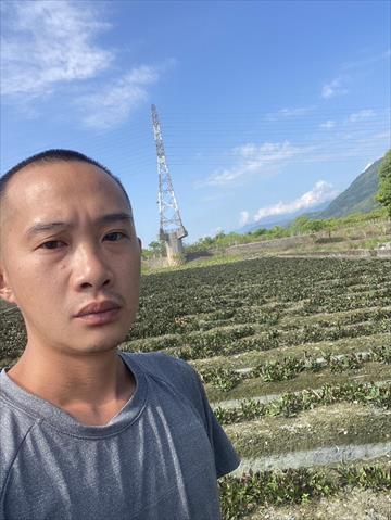 生產者圖片