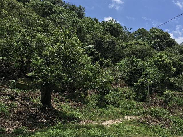 生產者圖片