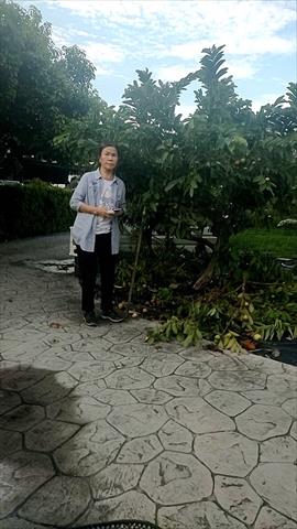 生產者圖片