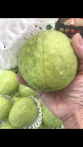 生產者圖片