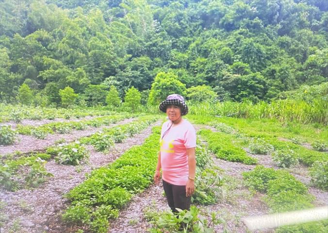 生產者圖片