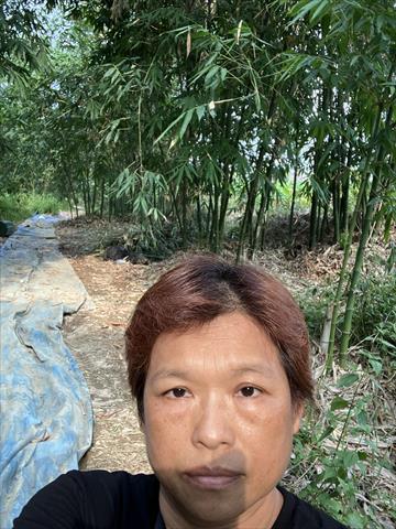 生產者圖片