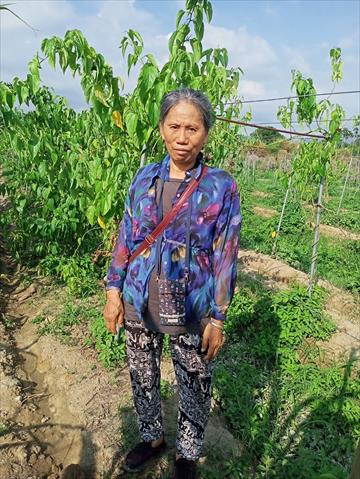 生產者圖片