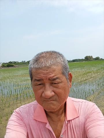 生產者圖片