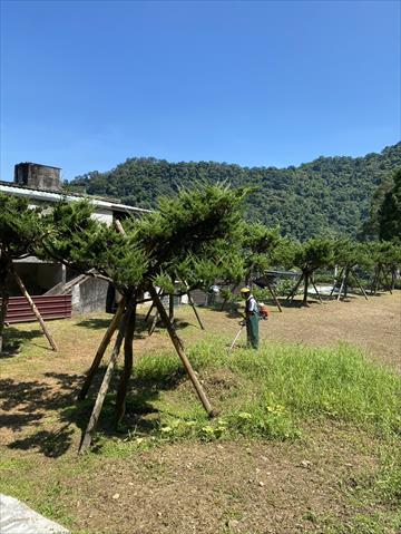 生產者圖片