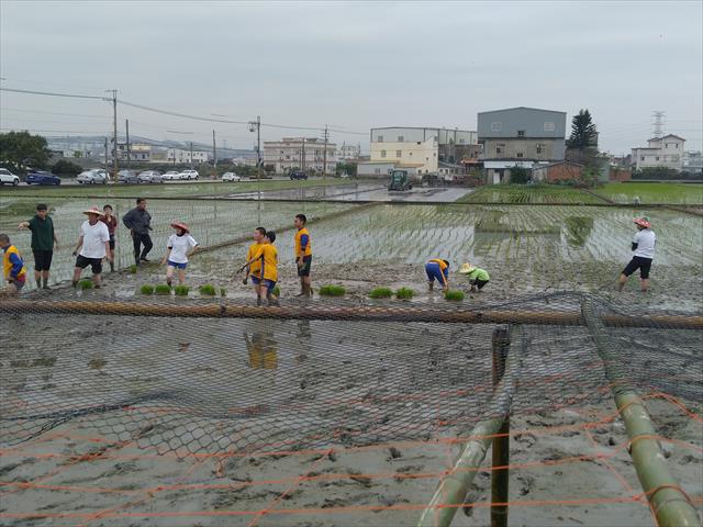 生產者圖片
