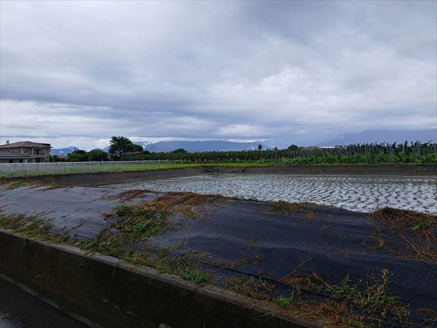 生產者圖片