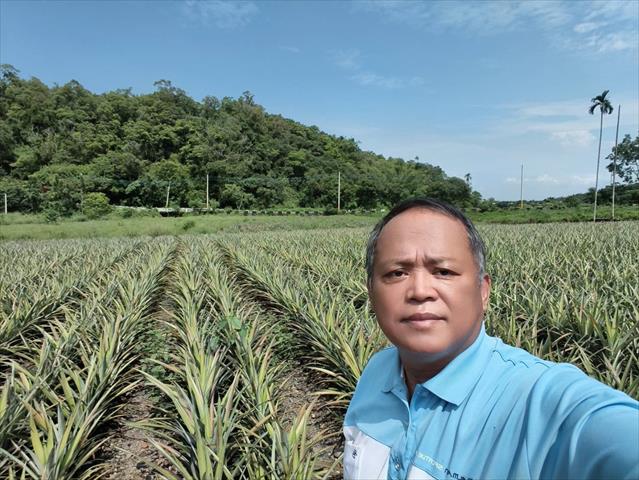 生產者圖片