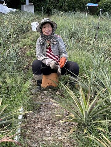 生產者圖片