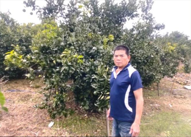 生產者圖片