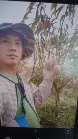 生產者圖片