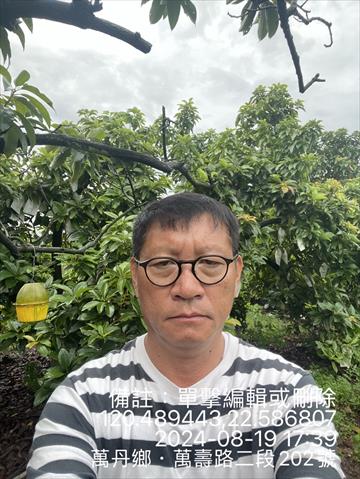 生產者圖片