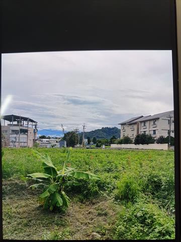生產者圖片