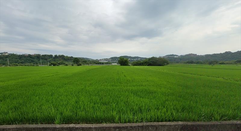 生產者圖片