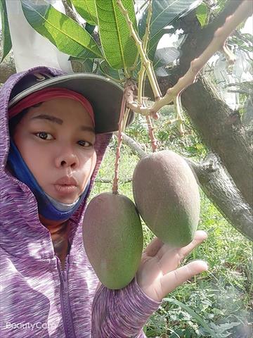 生產者圖片