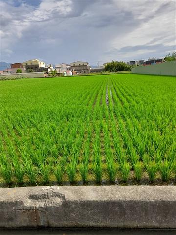 生產者圖片