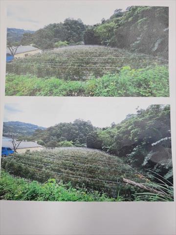 生產者圖片