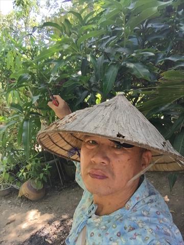 生產者圖片