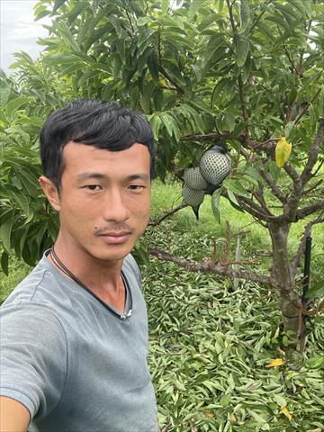 生產者圖片