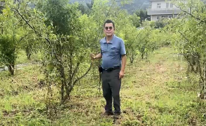 生產者圖片