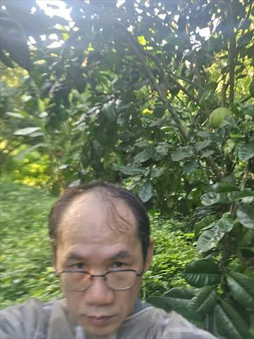 生產者圖片