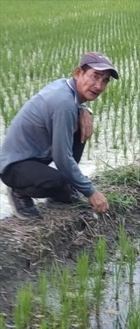 生產者圖片