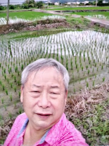 生產者圖片