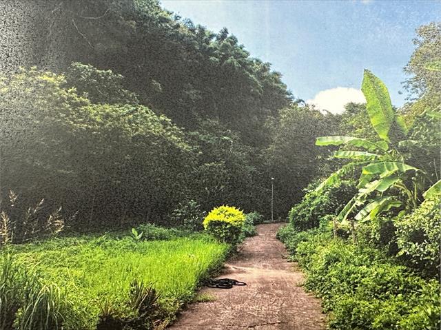生產者圖片
