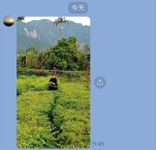 生產者圖片