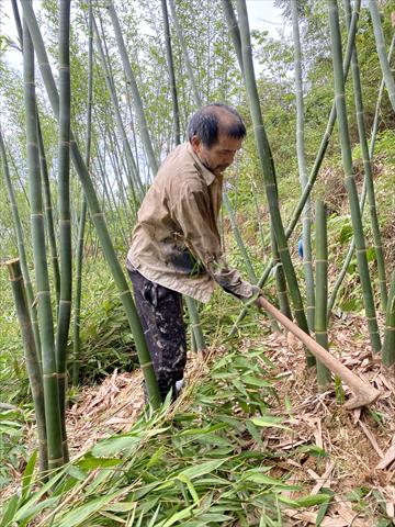 生產者圖片