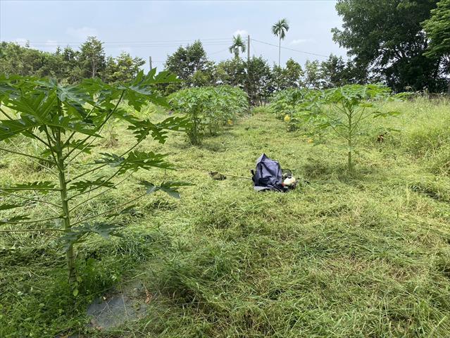 生產者圖片