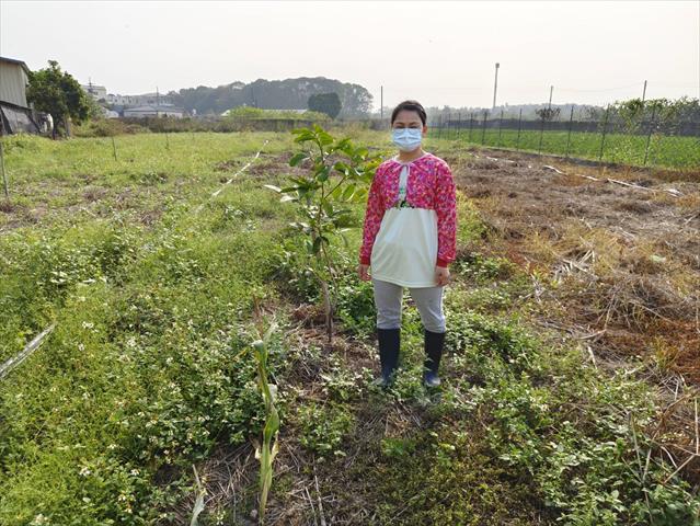 生產者圖片
