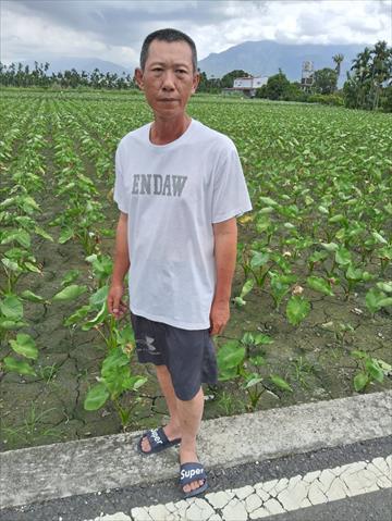 生產者圖片