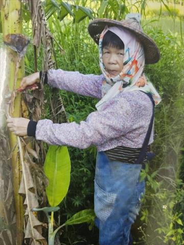 生產者圖片